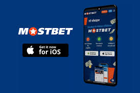 Mostbet Live Gambling Enterprise